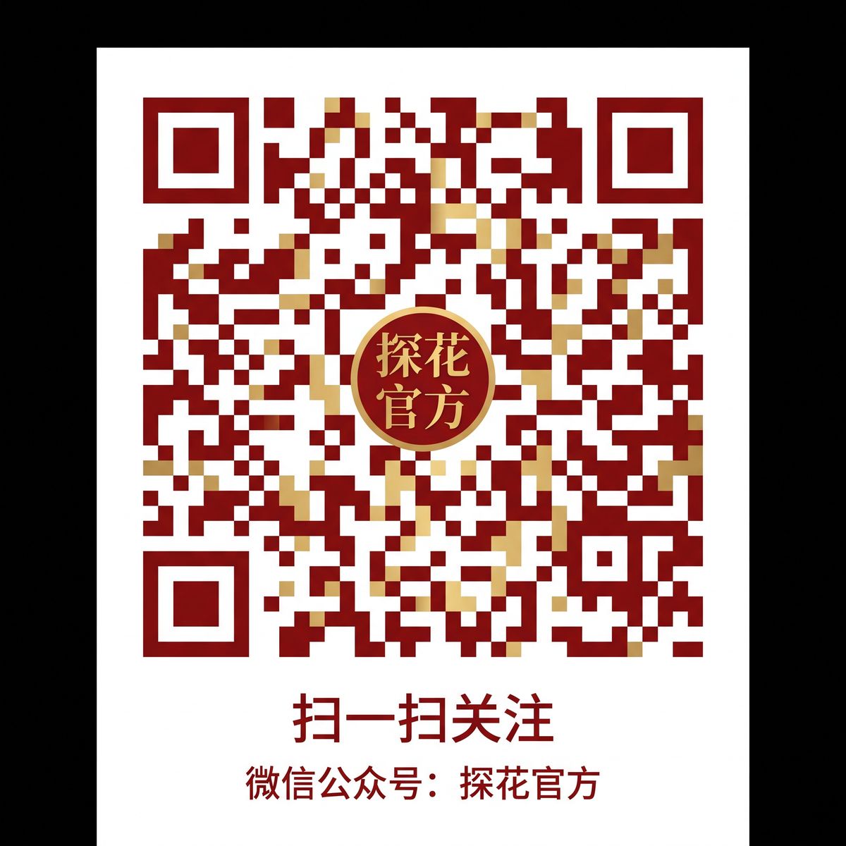 母狗公众号二维码